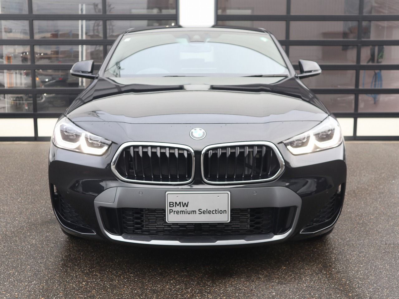 F39 X2 xDrive20d B47 2.0d