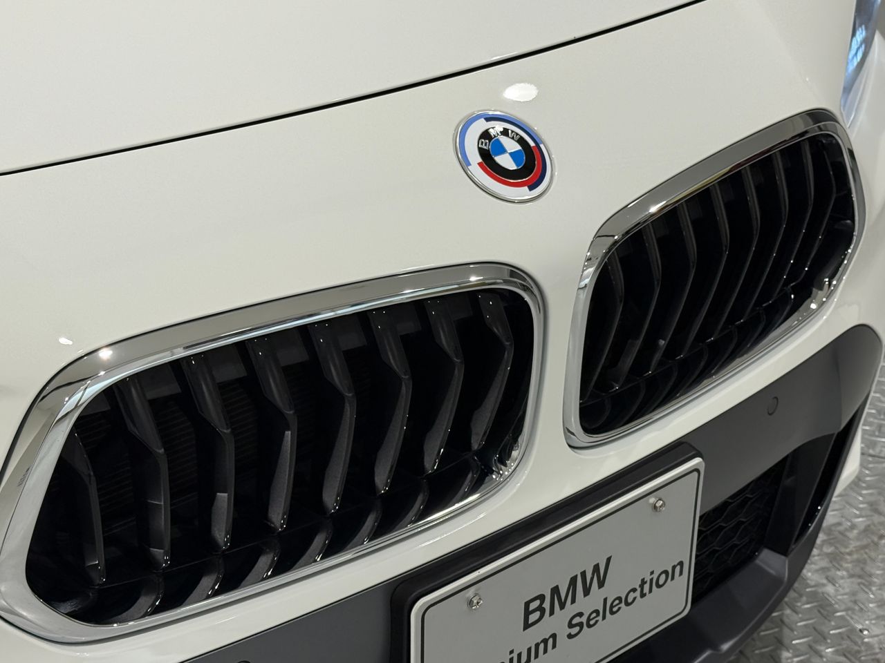 F39 X2 xDrive20d B47 2.0d