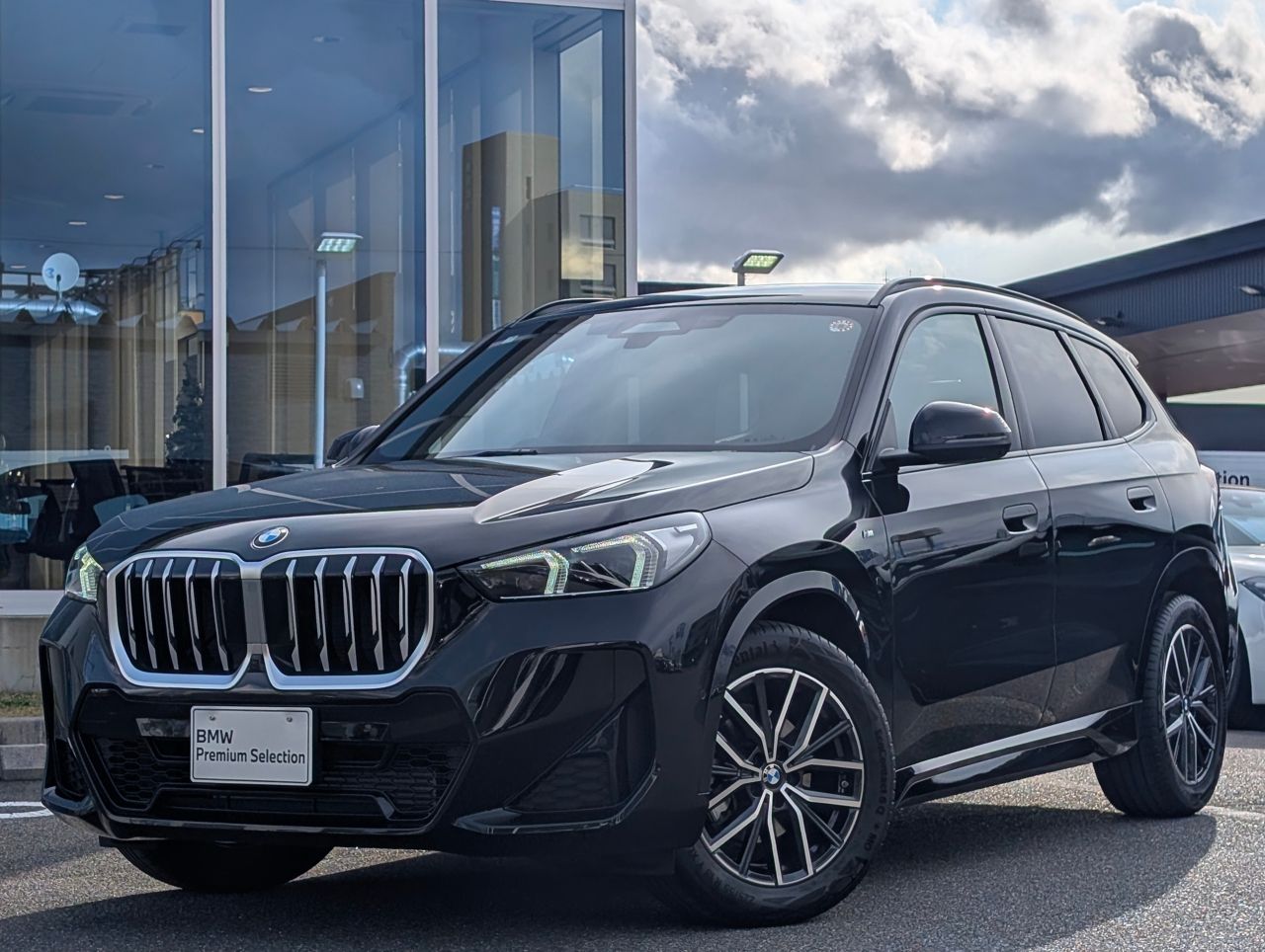 X1 sDrive18i M Sport