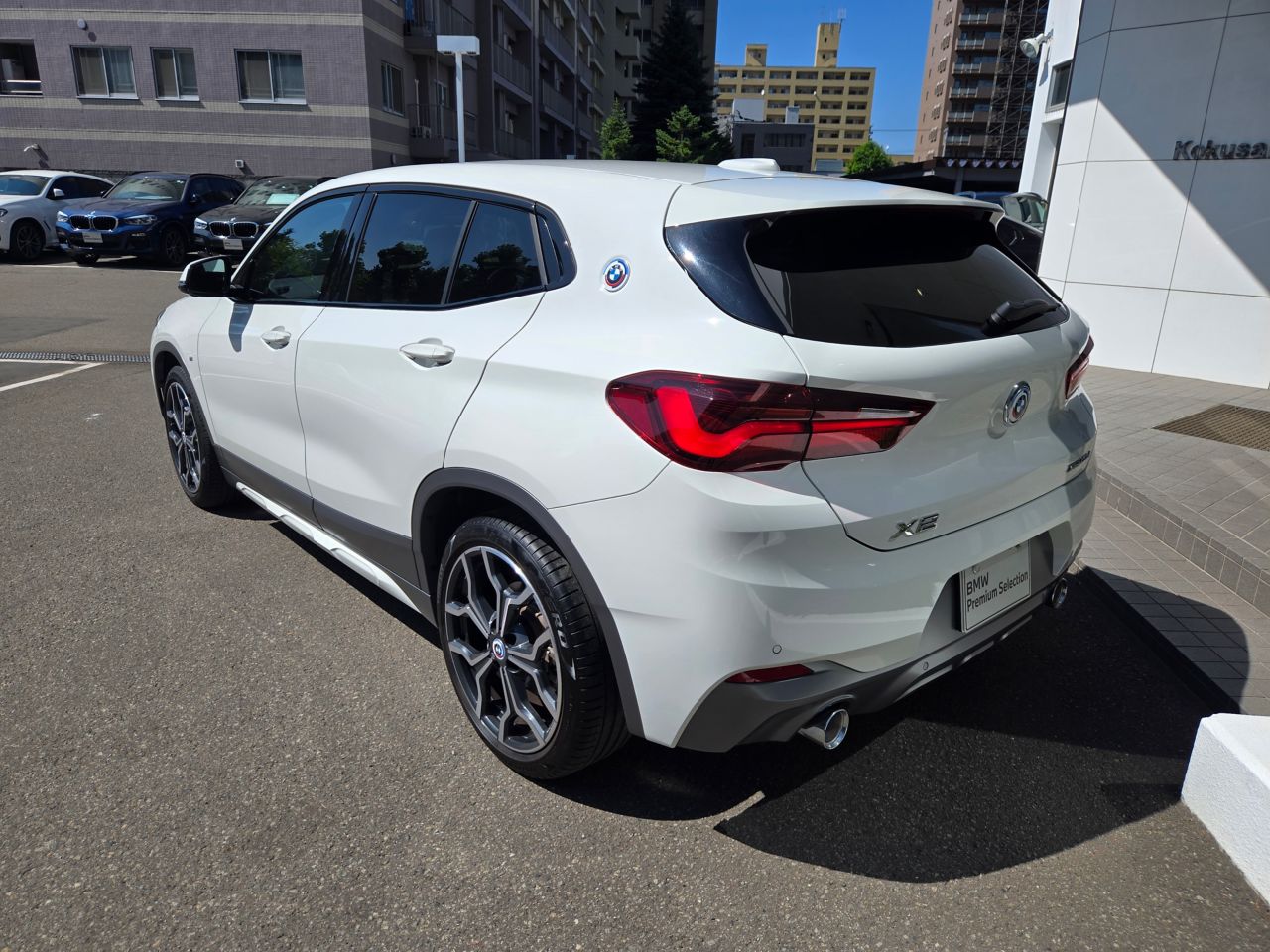 F39 X2 xDrive20d B47 2.0d