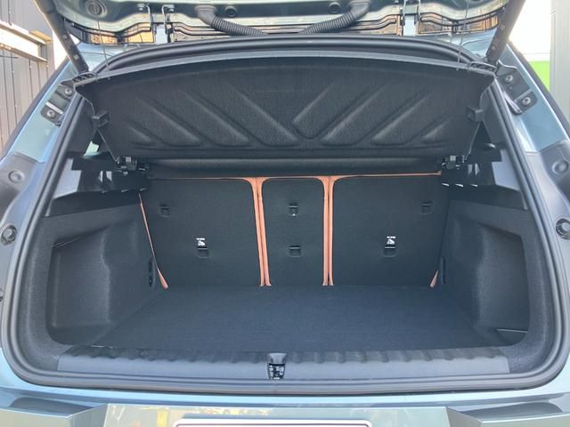 U25 MINI Countryman C