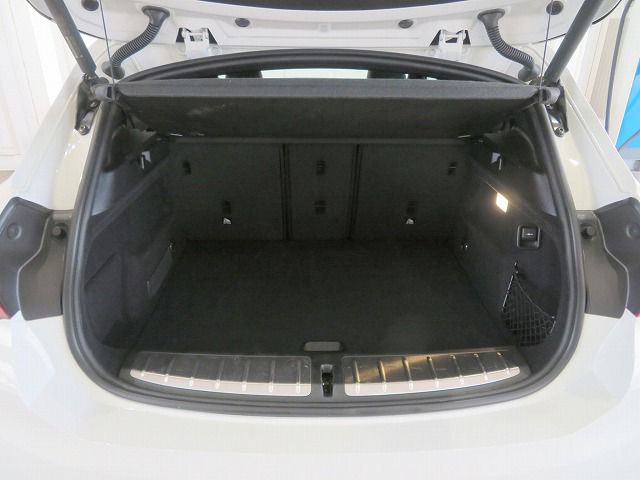 F39 X2 M35i B48 2.0i
