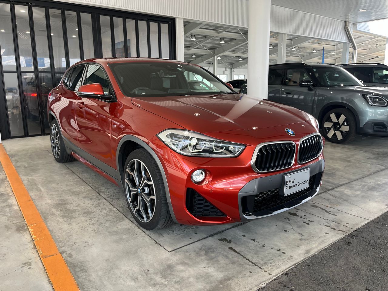 F39 X2 xDrive20i B48 2.0i SAC