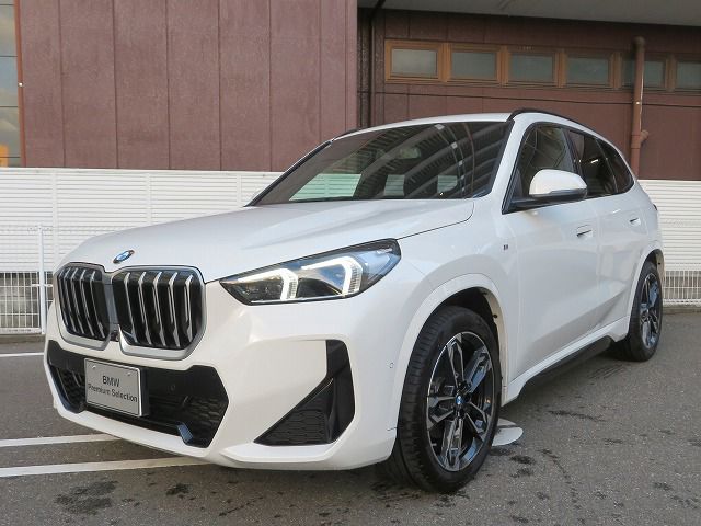 X1 sDrive18i M Sport