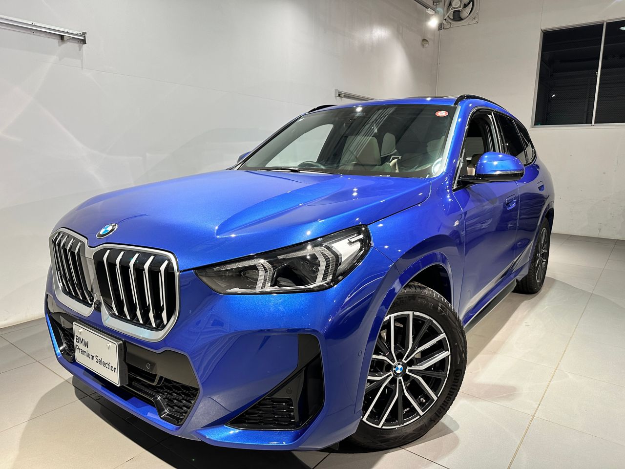 X1 xDrive20i M Sport