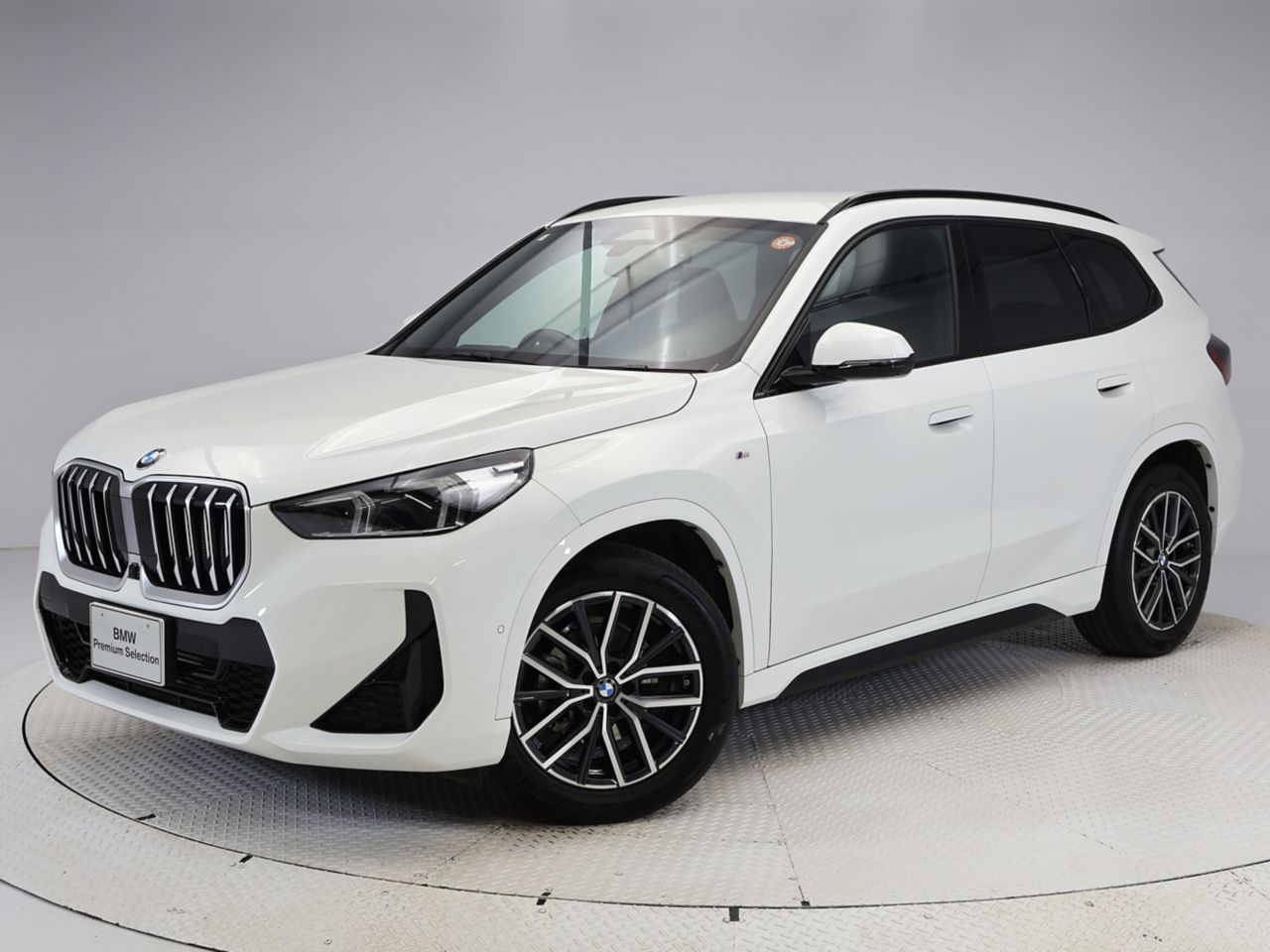 X1 xDrive20i M Sport
