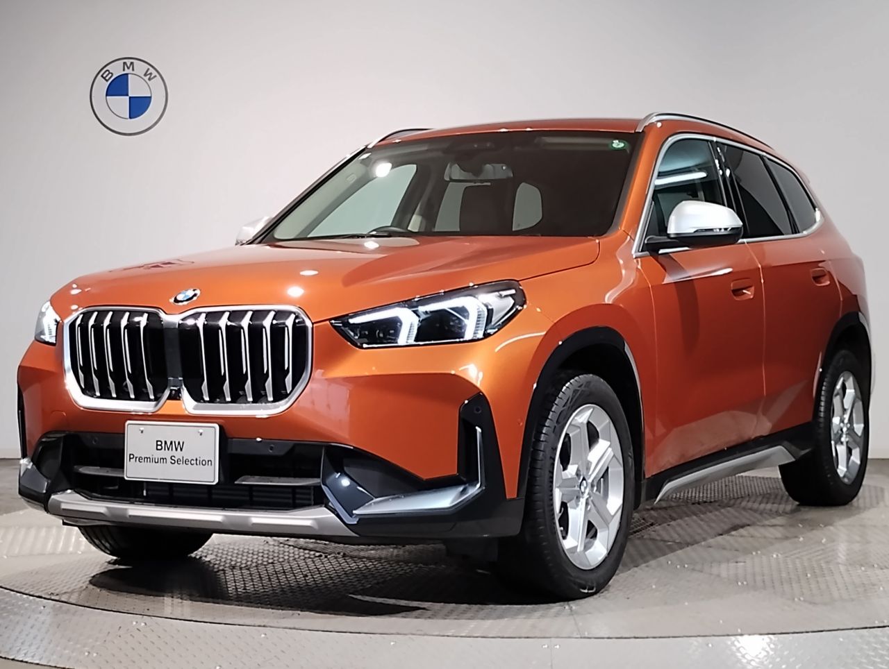 X1 xDrive20d xLine