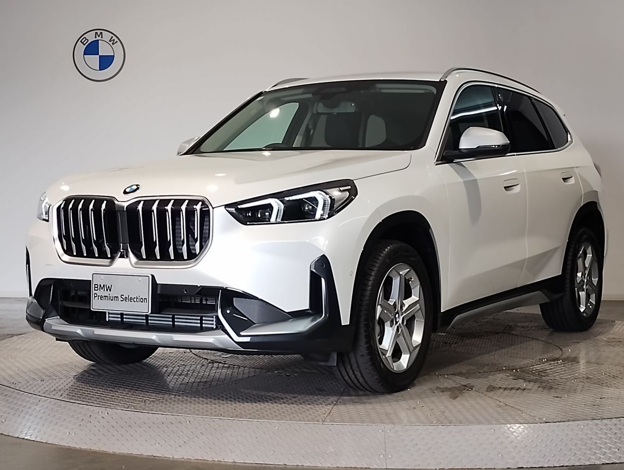 X1 xDrive20d xLine