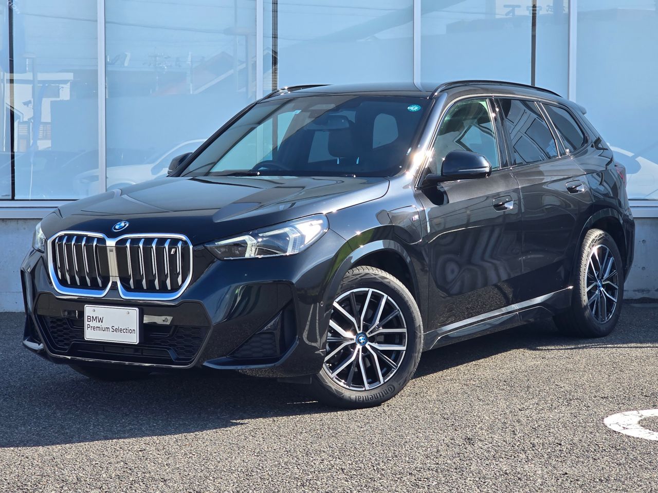 iX1 xDrive30 M Sport