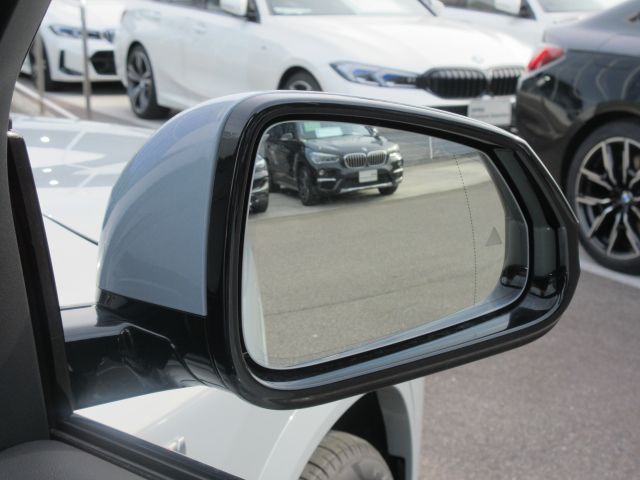 iX2 xDrive30 MSP