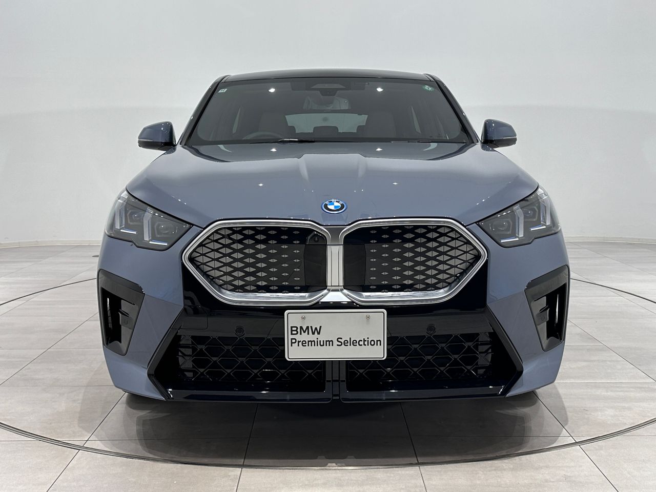 iX2 xDrive30 MSP