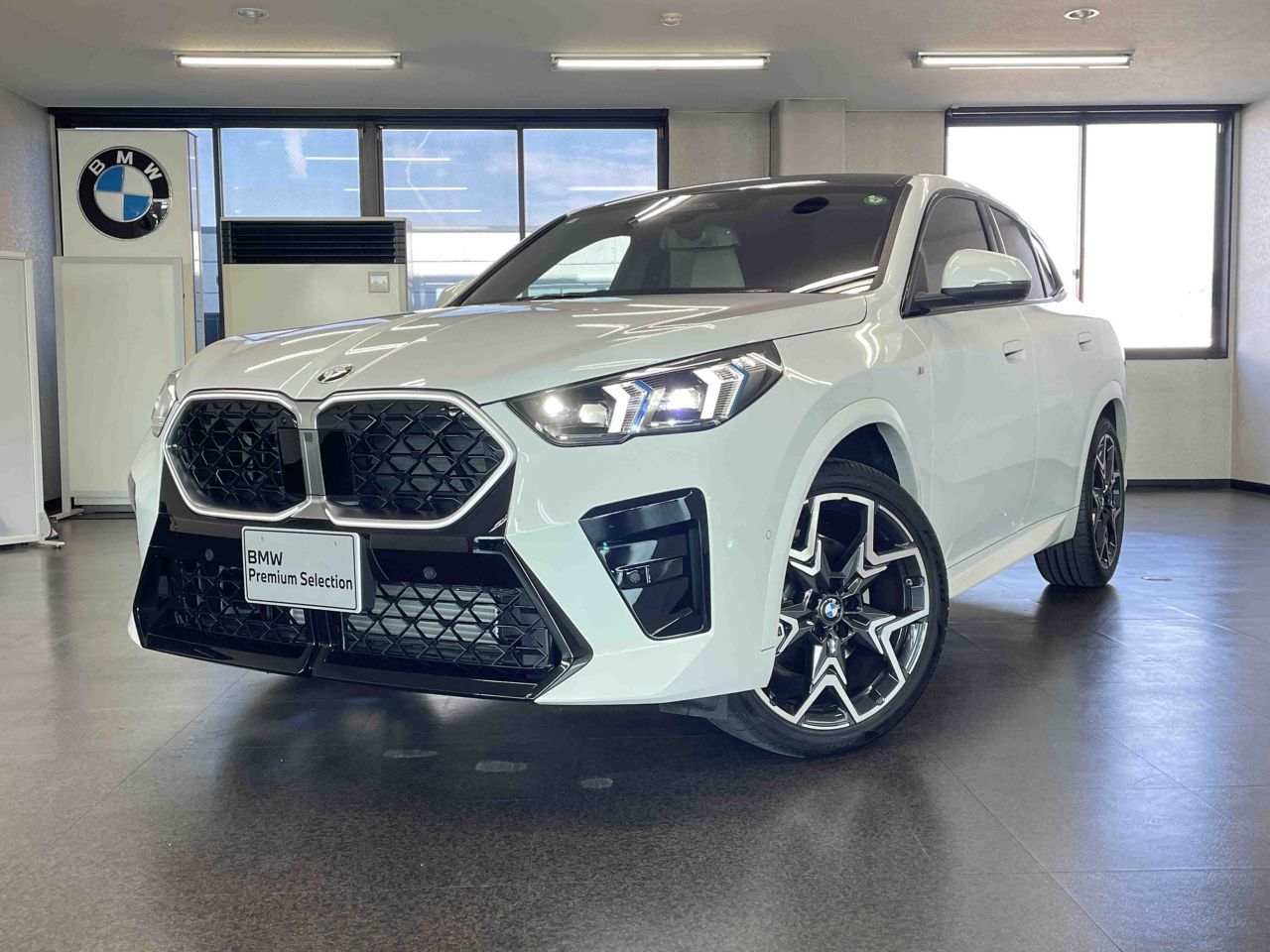 X2 xDrive20i M Sport
