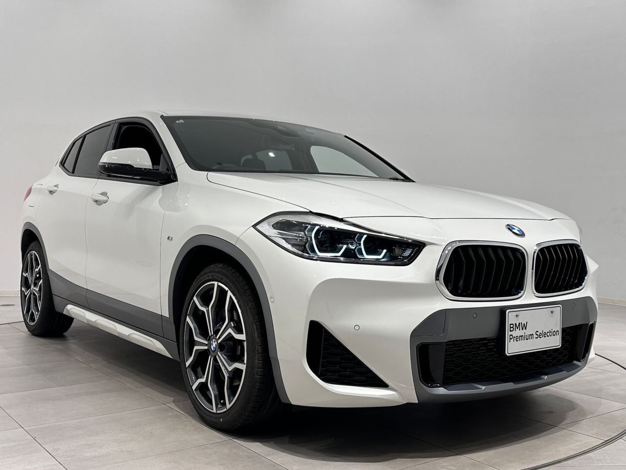 F39 X2 xDrive20d B47 2.0d