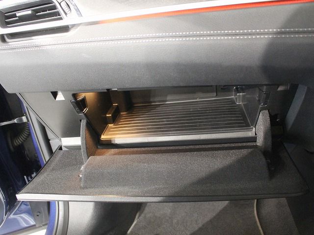 F48 X1 xDrive18d B47 2.0d LCI