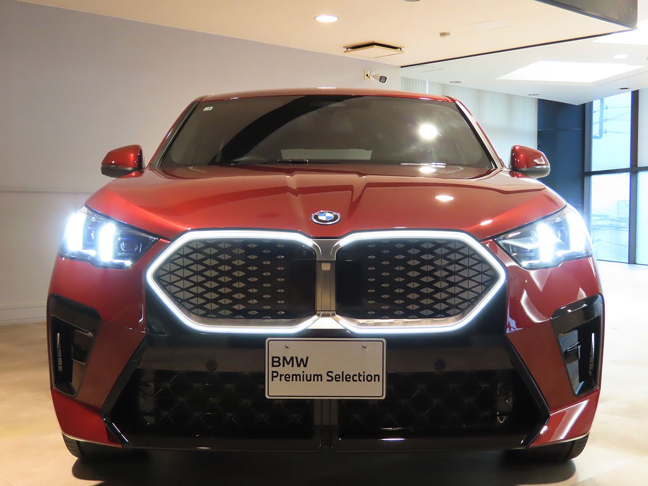 iX2 xDrive30 MSP