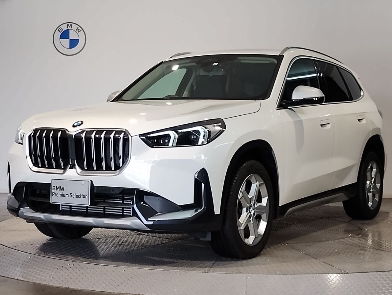 X1 xDrive20i xLine