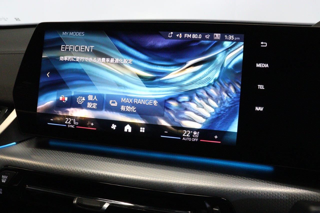 iX2 xDrive30 MSP