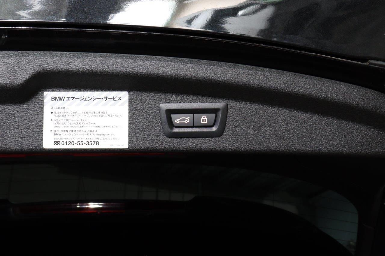 F39 X2 xDrive20i B48 2.0i SAC