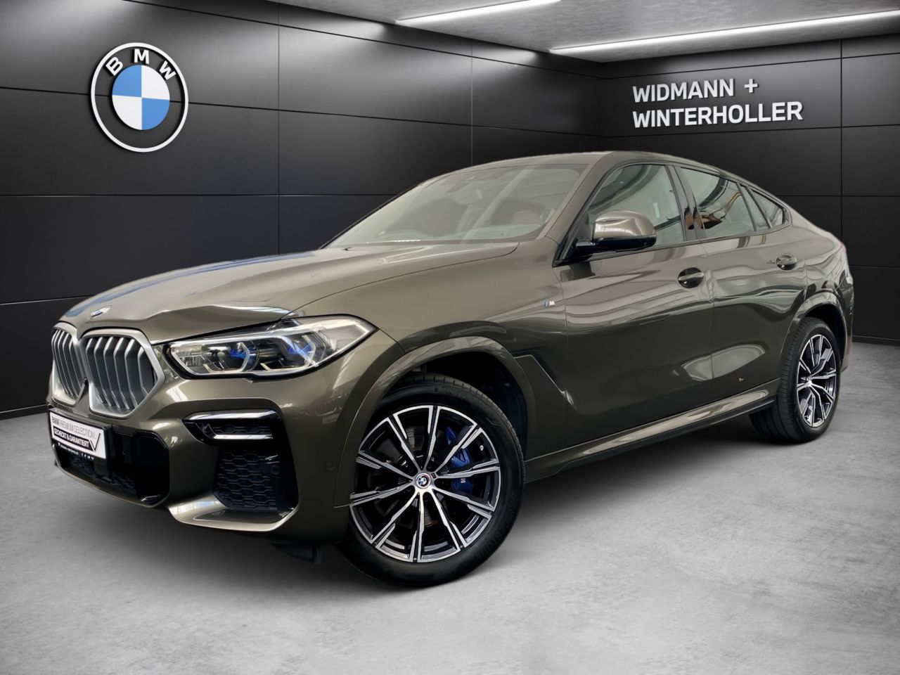 BMW X6