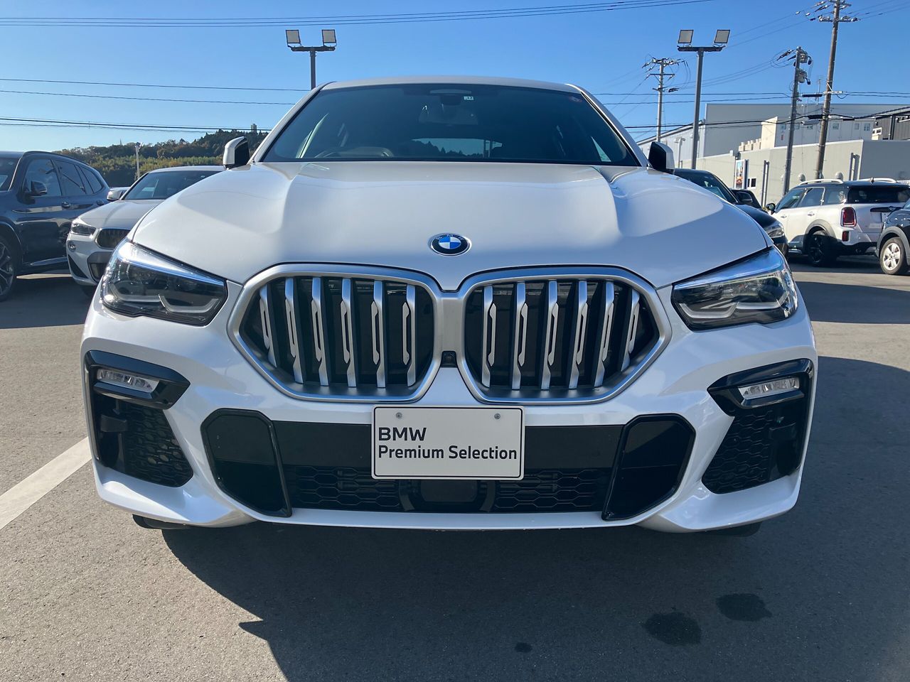 X6 xDrive35d M Sport