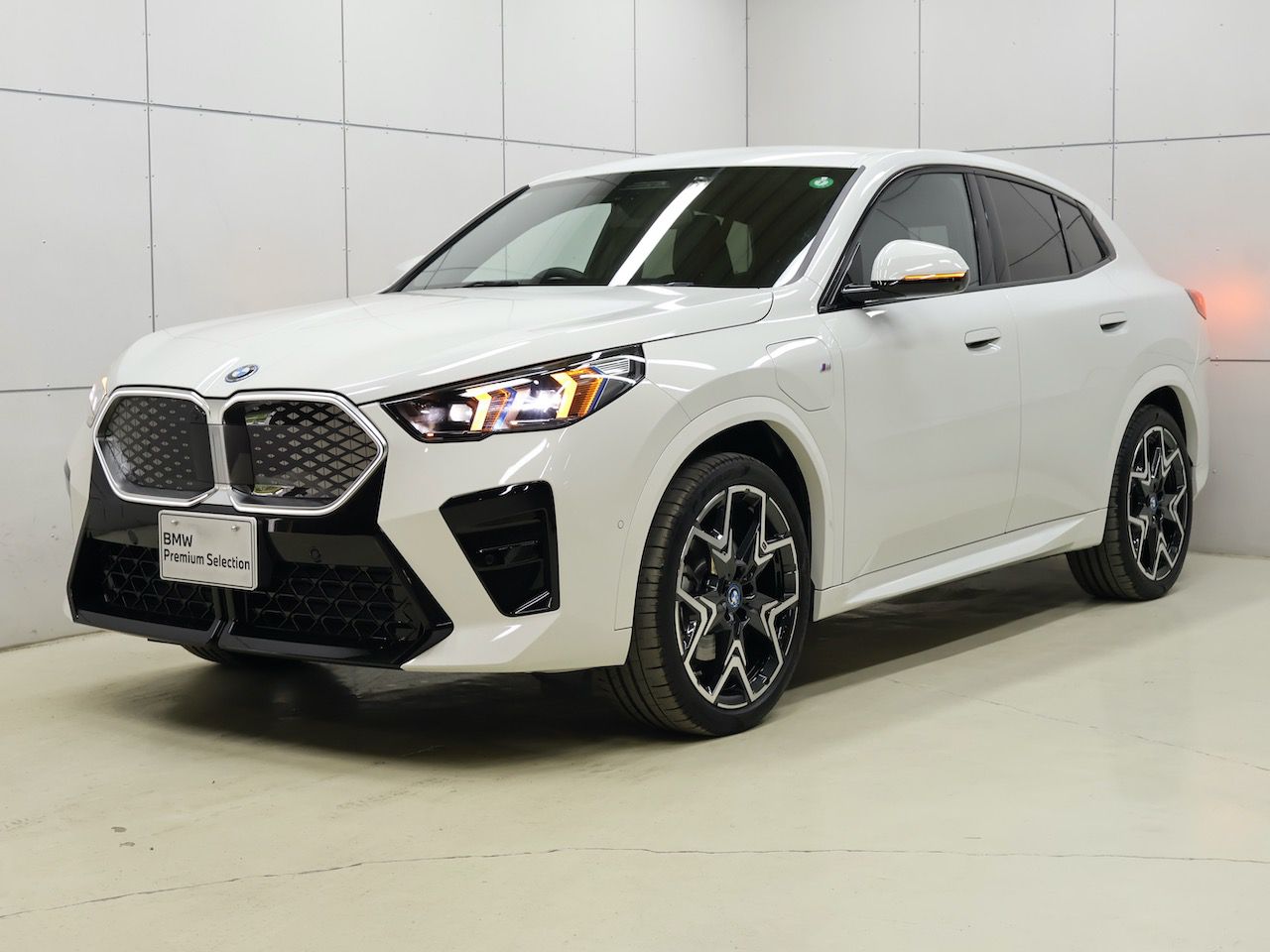 iX2 xDrive30 M Sport