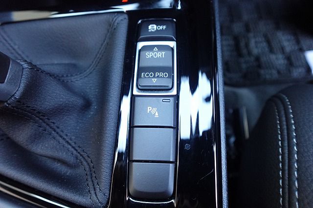 F39 X2 sDrive18i B38 1.5i SAC