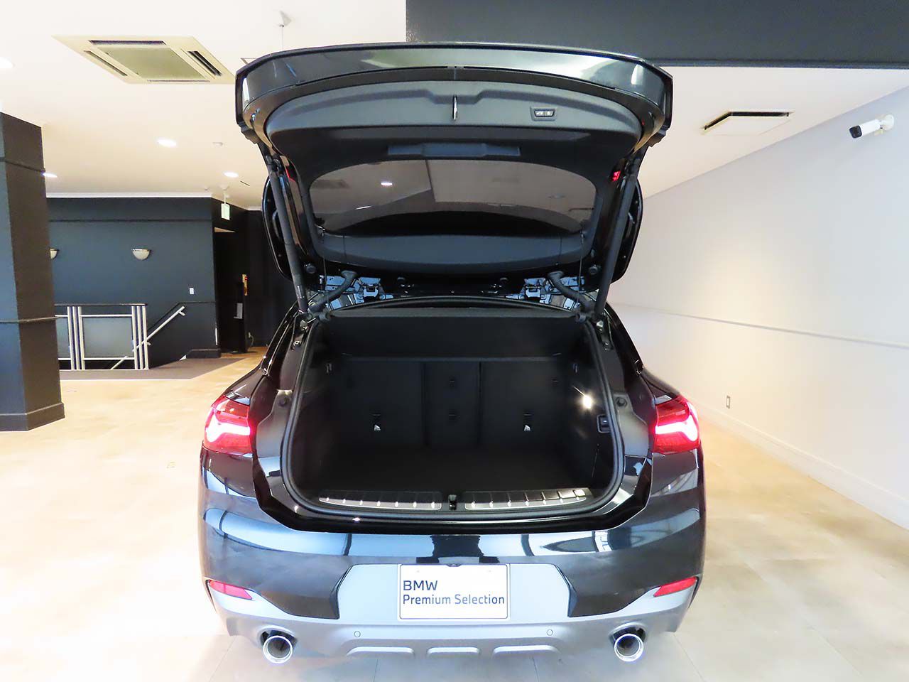 F39 X2 xDrive20d B47 2.0d