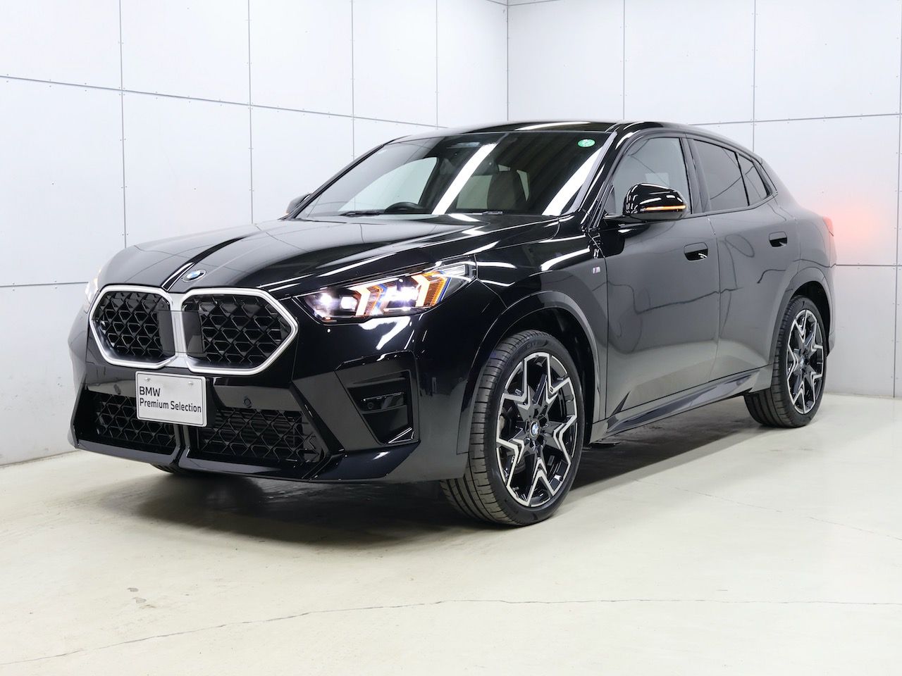 X2 xDrive20i M Sport