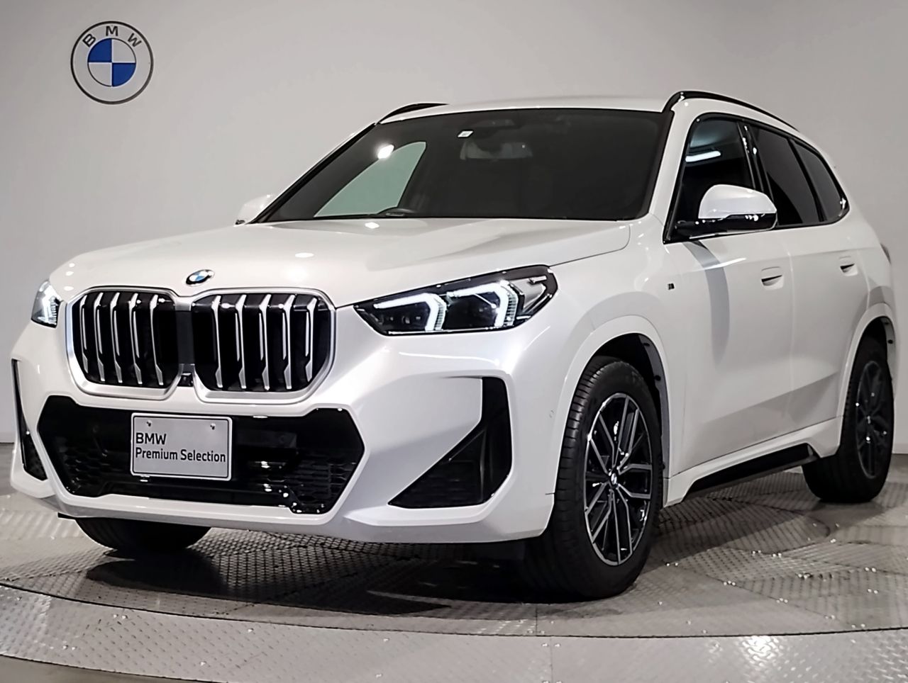 X1 xDrive20i M Sport