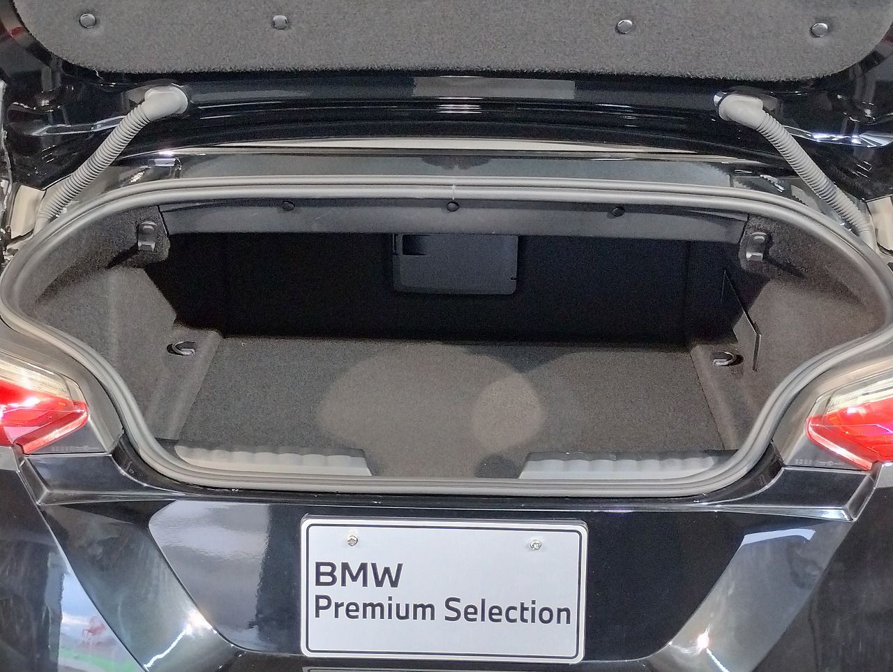 G29 z4 sDrive20i RHD