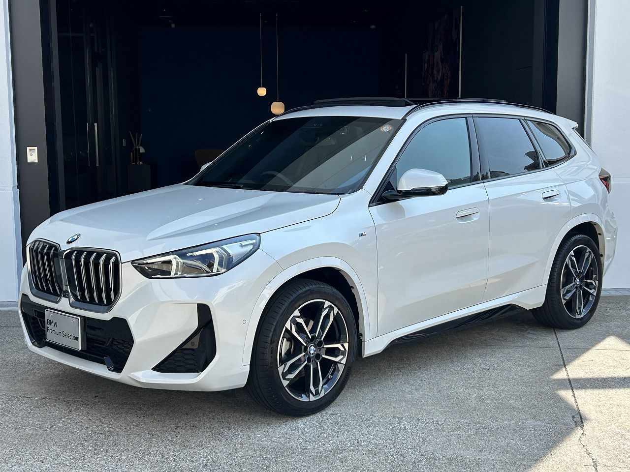 X1 xDrive20i M Sport