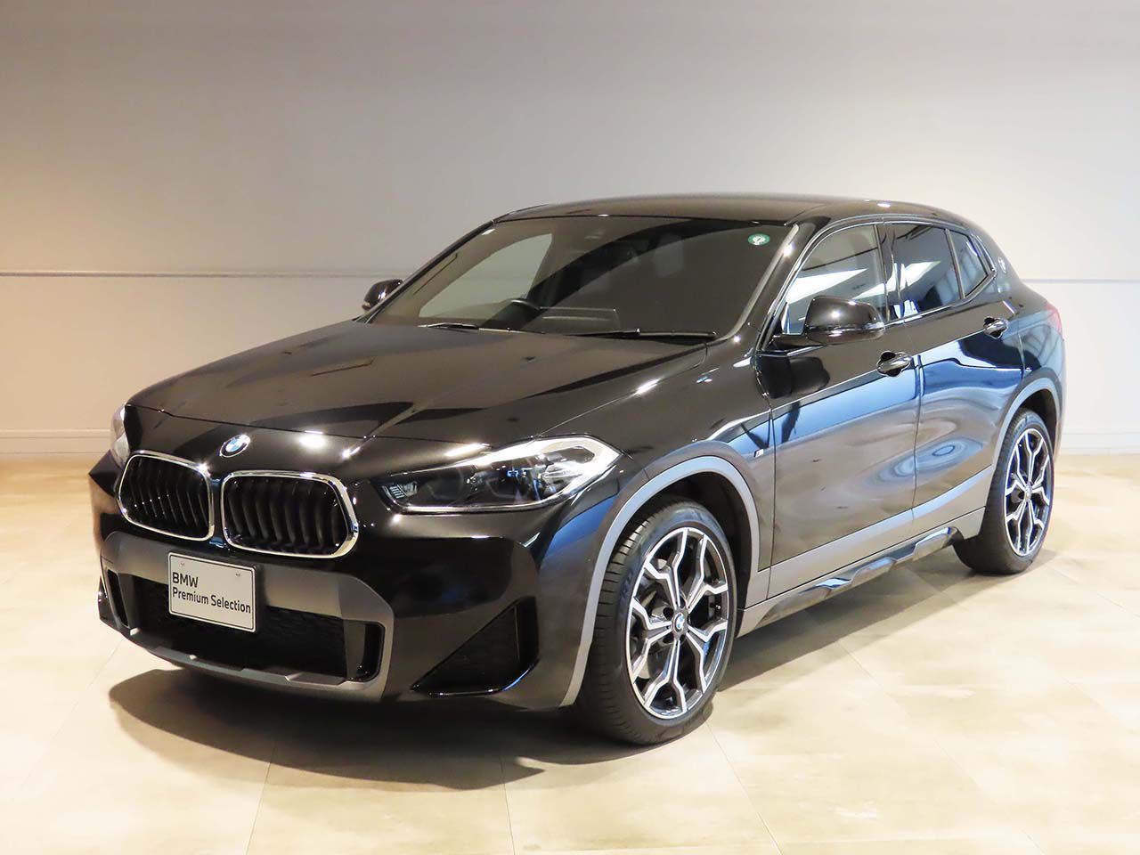 X2 xDrive20d