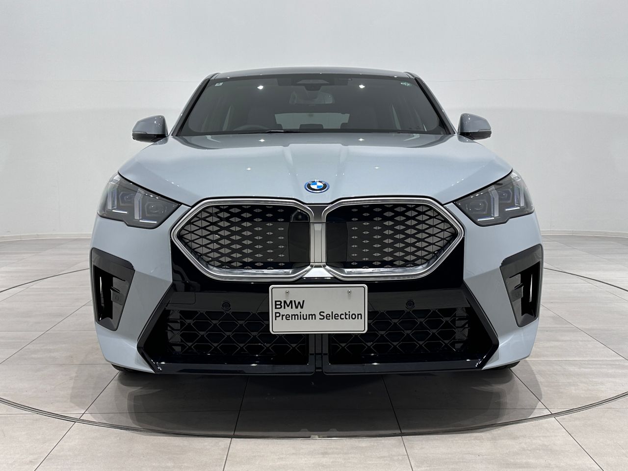 iX2 xDrive30 MSP