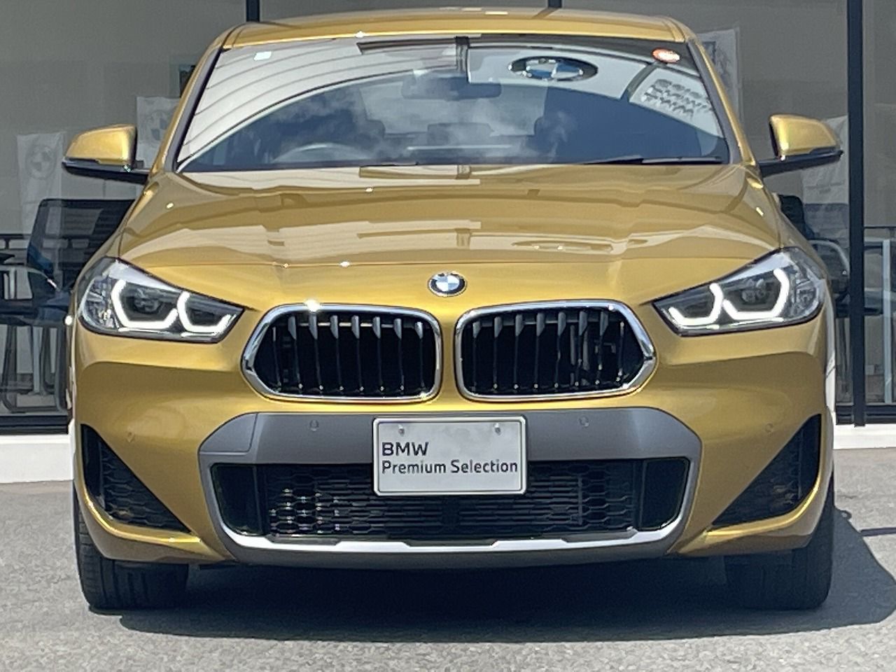 F39 X2 xDrive18d SAC B47 2.0d