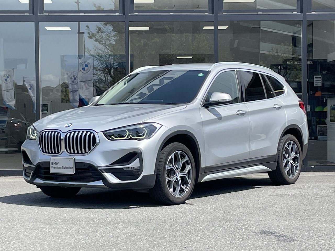 X1 xDrive 18d xLine