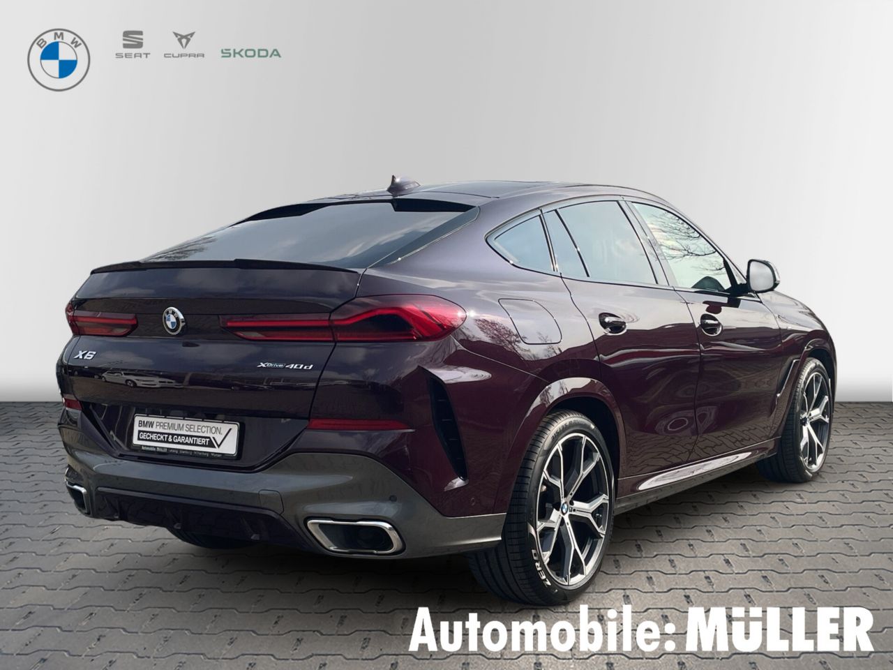 BMW X6