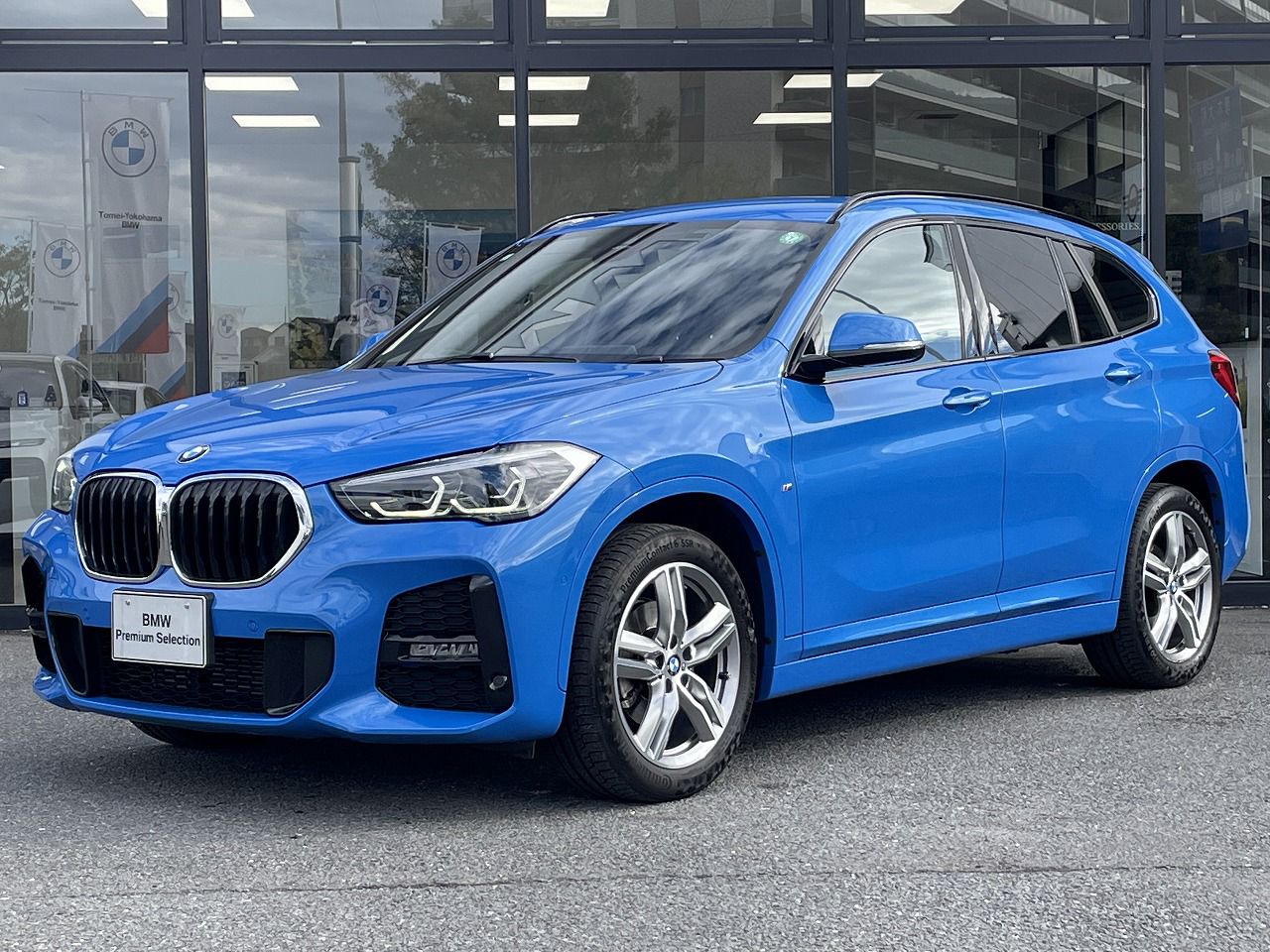 X1 xDrive 18d M Sport