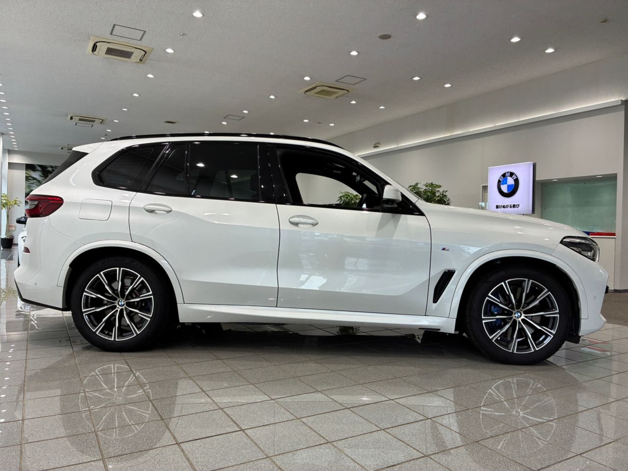 G05 X5 xDrive45e xLine XB1 PHEV