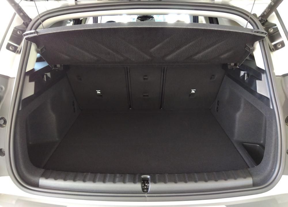 U25 MINI Countryman C
