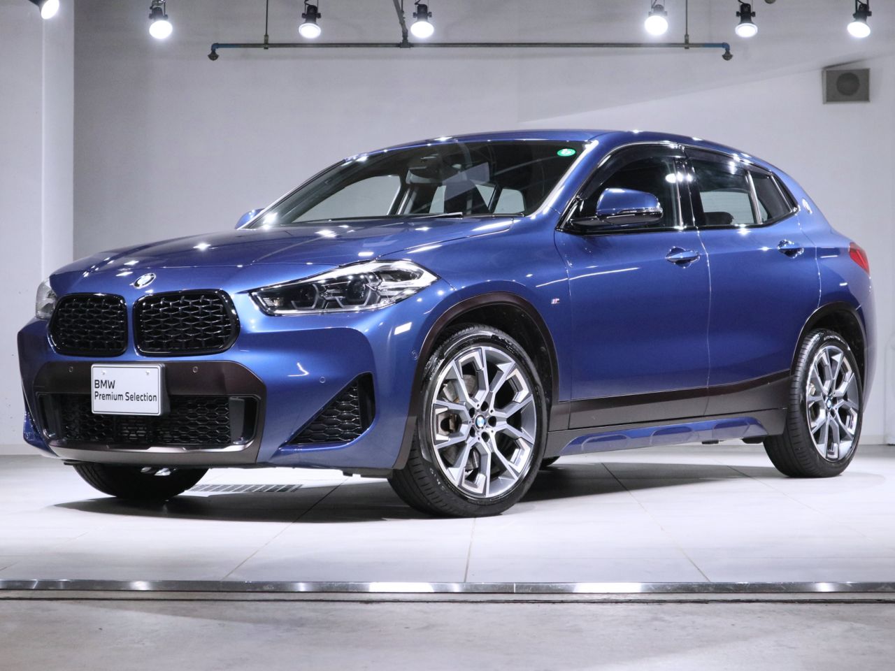 X2 xDrive20d
