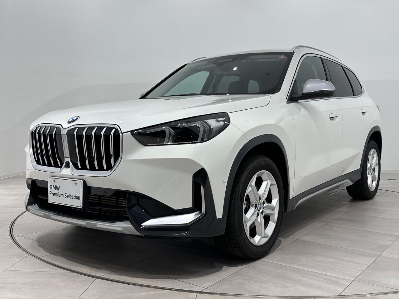 BMW X1 xDrive 20i xLine