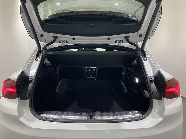 F39 X2 sDrive18i B38 1.5i SAC