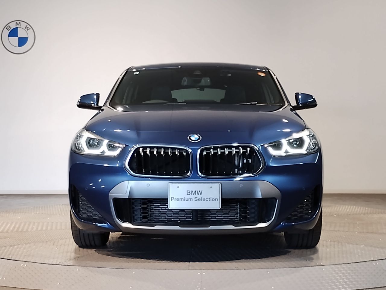 F39 X2 xDrive20d B47 2.0d