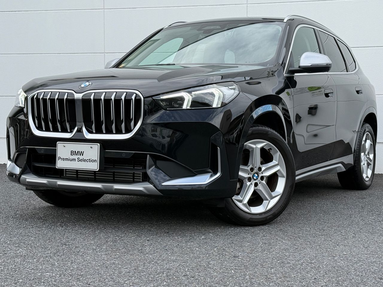 X1 xDrive20i xLine