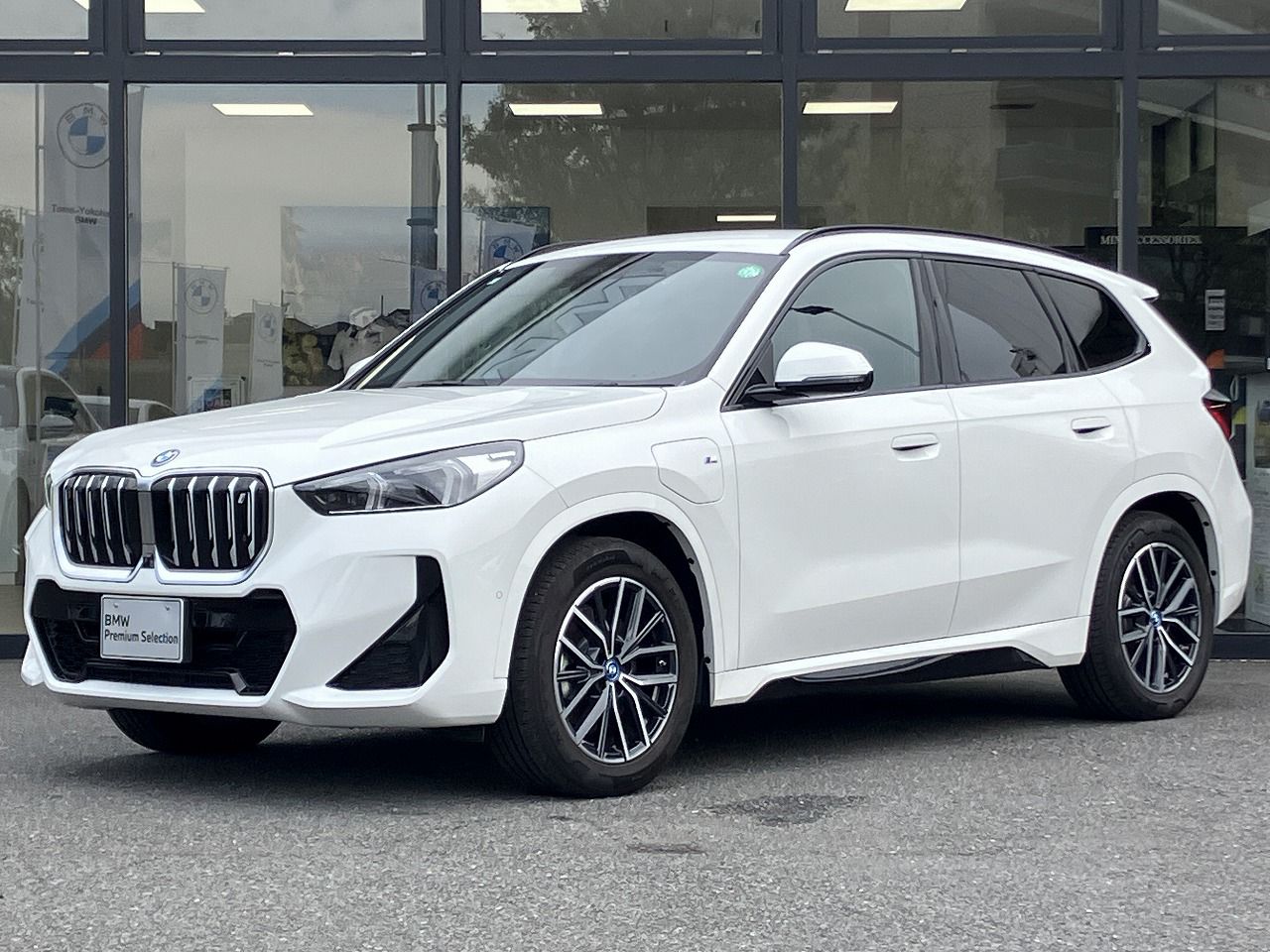 iX1 xDrive30 M Sport