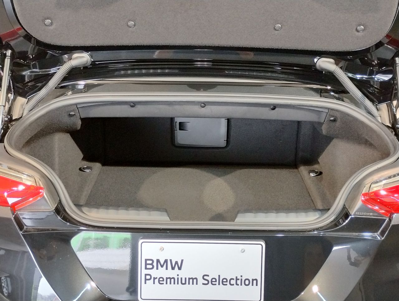 G29 z4 sDrive20i RHD