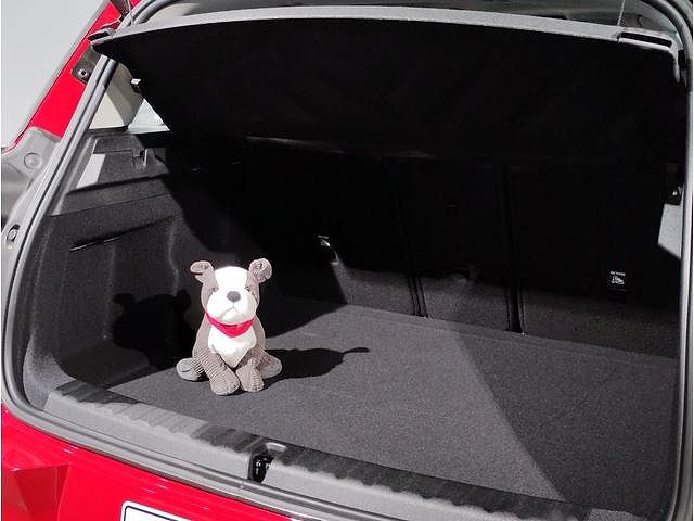 U25 MINI Countryman C