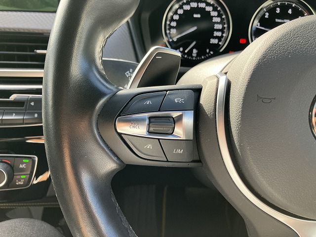 F39 X2 xDrive20i B48 2.0i SAC