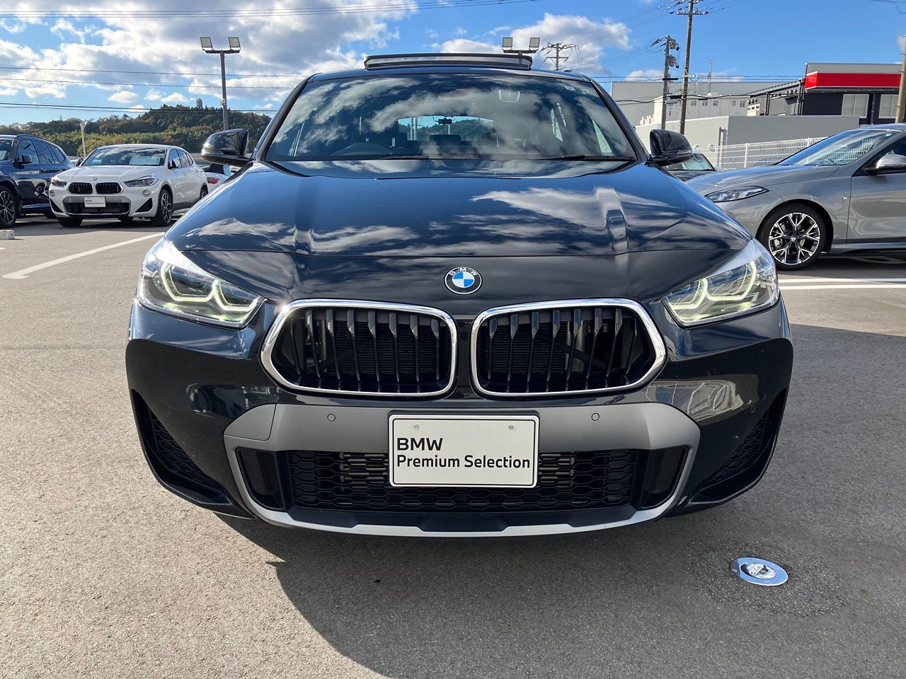 X2 xDrive20d