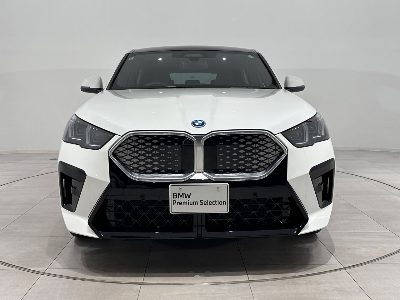 iX2 xDrive30 MSP